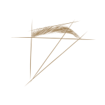 Le salon des sens Brow lift